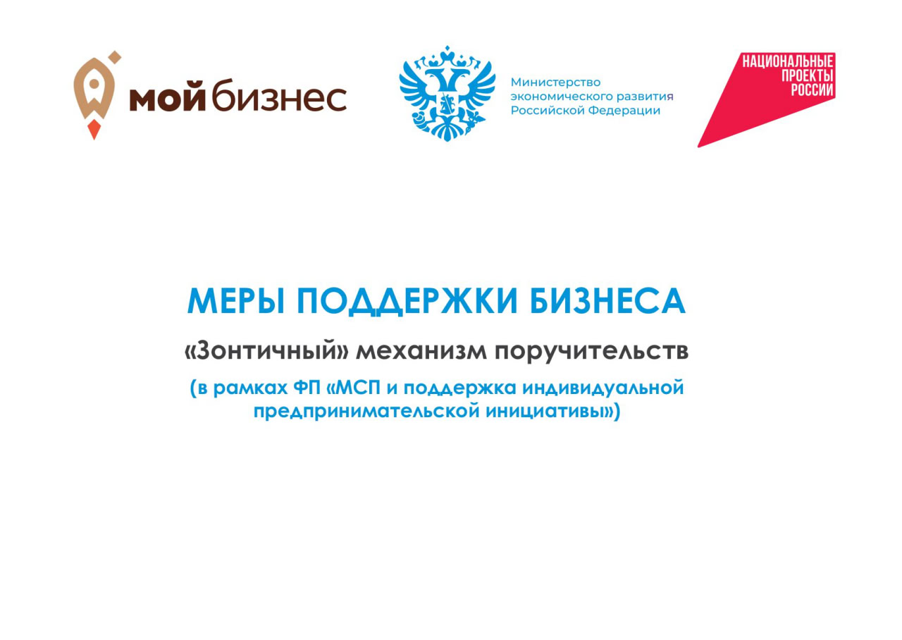 Меры поддержки бизнеса &quot;Зонтичный&quot; механизм поручительств (в рамках ФП &quot;МСП и поддержкаи ндивидуальной предпринимательской инициативы).