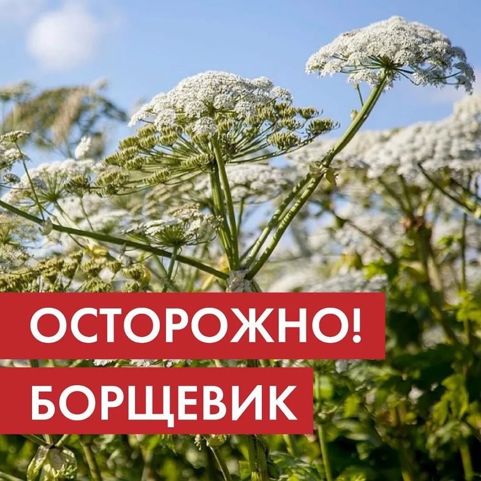 Важная информация!.