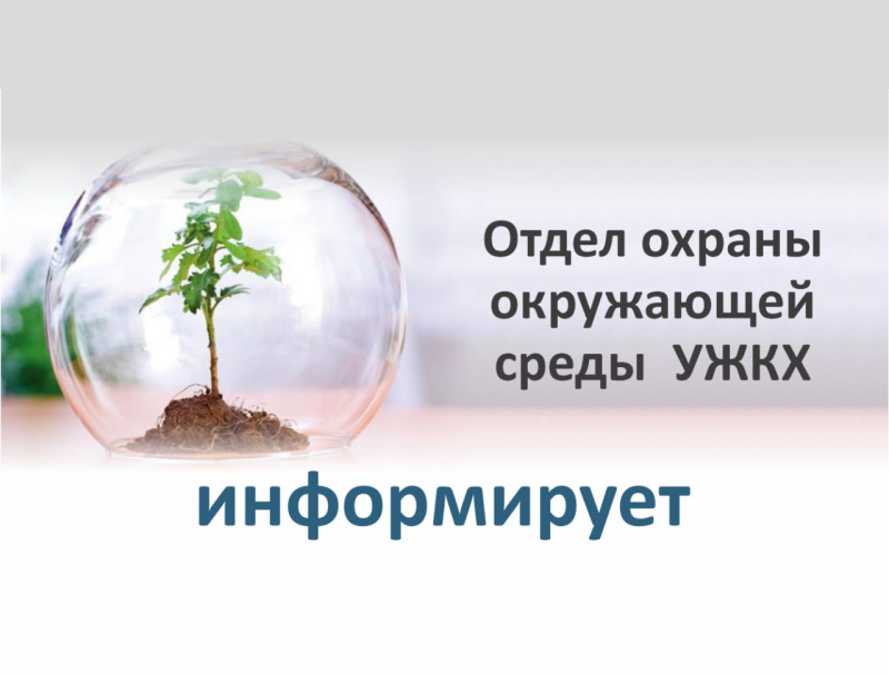 Отдел охраны окружающей среды информирует.