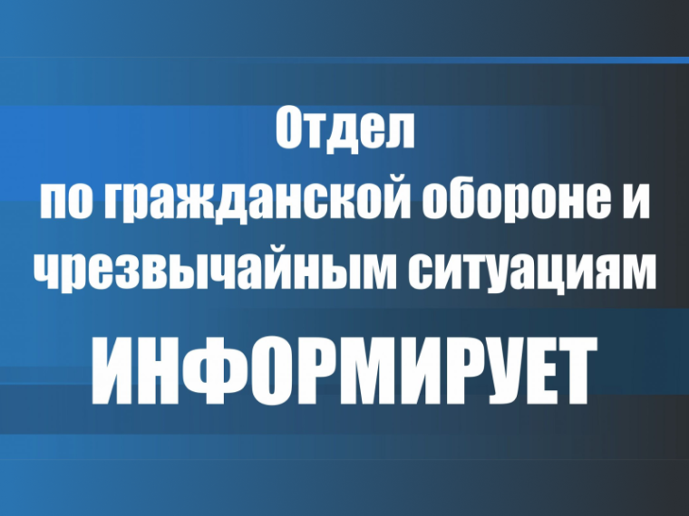 Отдел ГО и ЧС информирует о начале пожароопасного периода. Отдел ГО и ЧС информирует о начале пожароопасного периода.