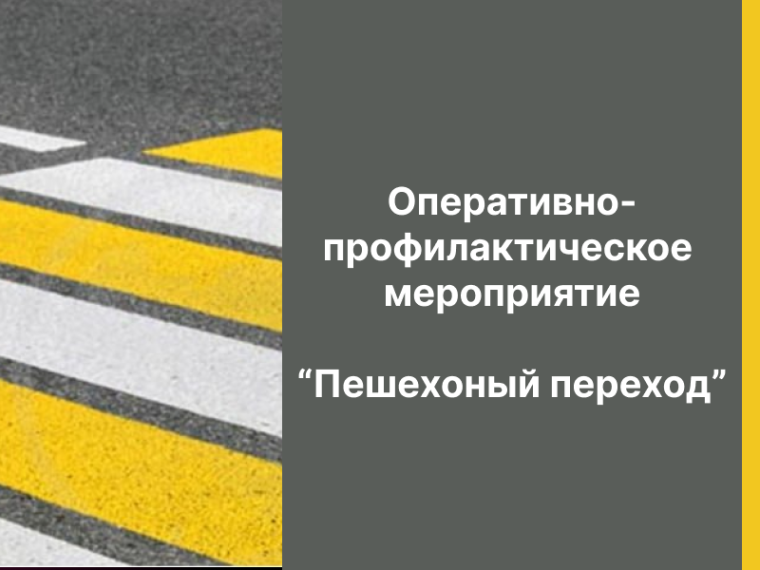 Оперативно-профилактическое мероприятие "пешеходный переход". Оперативно-профилактическое мероприятие "пешеходный переход".